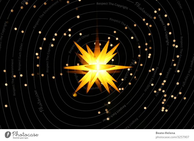 The light in the darkness Winter Flat (apartment) Feasts & Celebrations Christmas & Advent Sky Cloudless sky Night sky Stars Decoration Christmas star