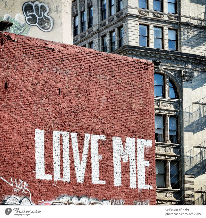 Love me, brick! New York City Manhattan USA House (Residential Structure) Wall (barrier) Wall (building) Facade Stone Brick Sign Characters Graffiti Town Brown