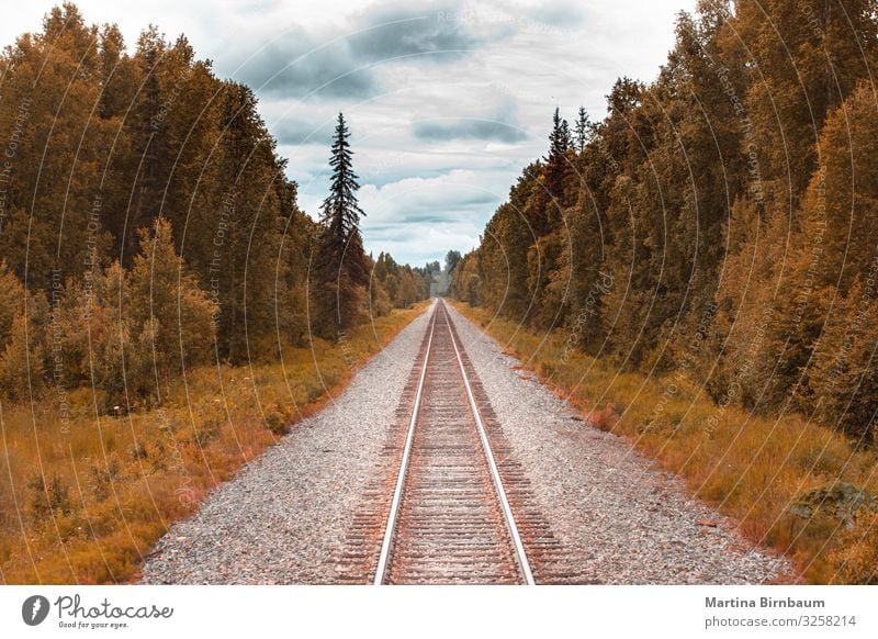 Railroad track in ther wilderness of Alaska Vacation & Travel Tourism Summer Snow Mountain Hiking Nature Landscape Tree Park Forest River Transport Natural Blue
