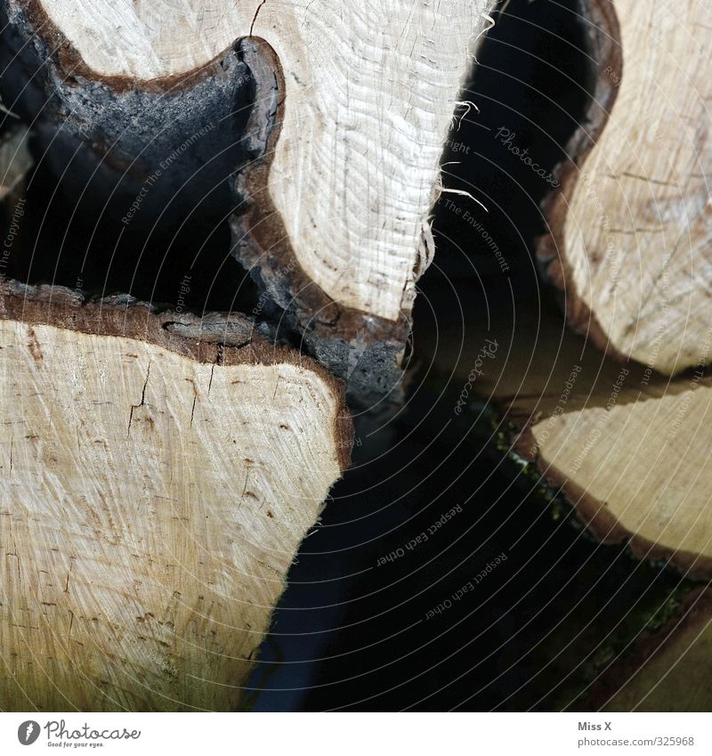 Building material / wood in front of the hut Wood Brown Tree trunk Firewood Stack of wood Tree bark Annual ring Undulation Saw Colour photo Close-up Detail