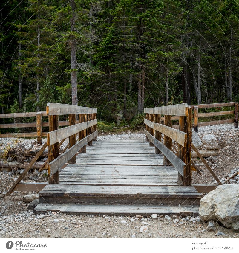 Wooden bridge over empty riverbed with forest in the background Footbridge wooden walkway Riverbed Dry Empty Gravel Rock stones Forest firs conifers