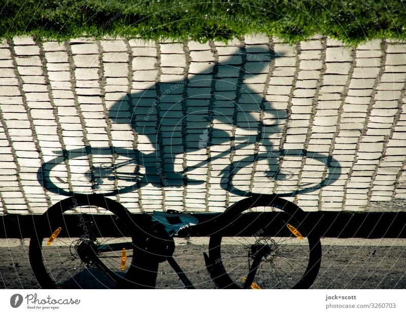 Sunday drivers as shade on cobblestone road Cycling Human being Summer Warmth Grass Park Lanes & trails Bicycle Cobblestones Moody Serene Experience Identity