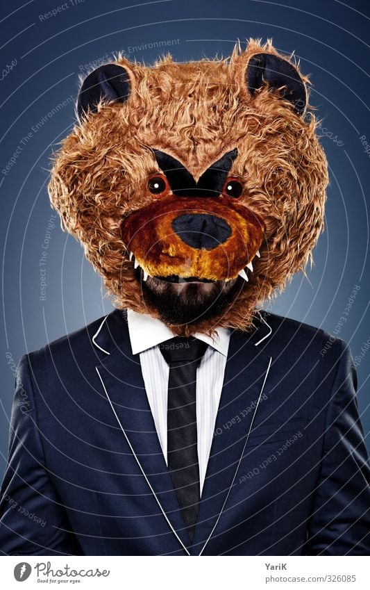 BB business bear Office work Human being Head Hair and hairstyles 1 Suit Pelt Tie Animal Whimsical Bear Surrealism Funny Colour photo Studio shot
