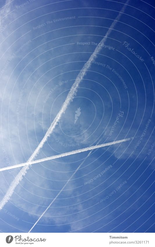 Sky, clouds and contrails Clouds Weather Blue Blue sky Beautiful weather Exterior shot Colour photo Deserted Air Vapor trail Lines and shapes Aviation
