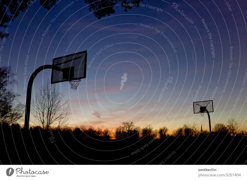 Basketball in the evening Ball sports Basketball basket Deserted Playing Playing field Copy Space Evening Dark Twilight Sky Heaven Horizon Berlin steglitz