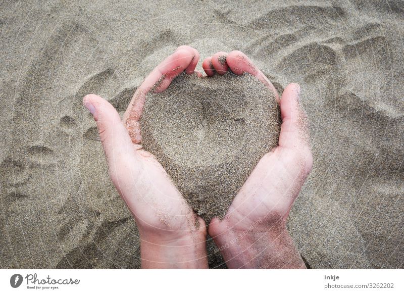 sand heart Lifestyle Senses Relaxation Calm Leisure and hobbies Playing Vacation & Travel Beach Hand Palm of the hand 1 Human being Sand Heart To hold on Simple