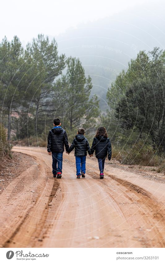 Three children holding hands on a foggy road Lifestyle Vacation & Travel Tourism Trip Adventure Winter Mountain Hiking Child Human being Masculine Feminine