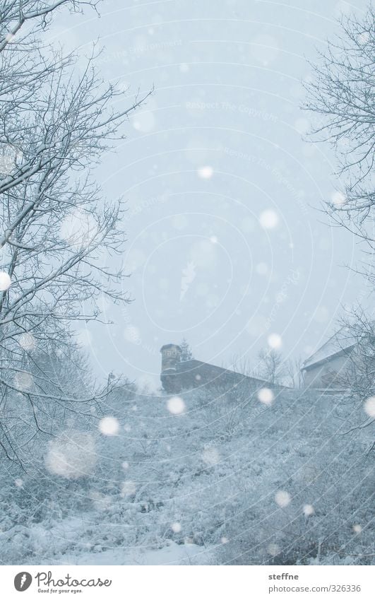 White Christmas Winter Cold Wartburg castle Forest Snowfall Snowflake Colour photo