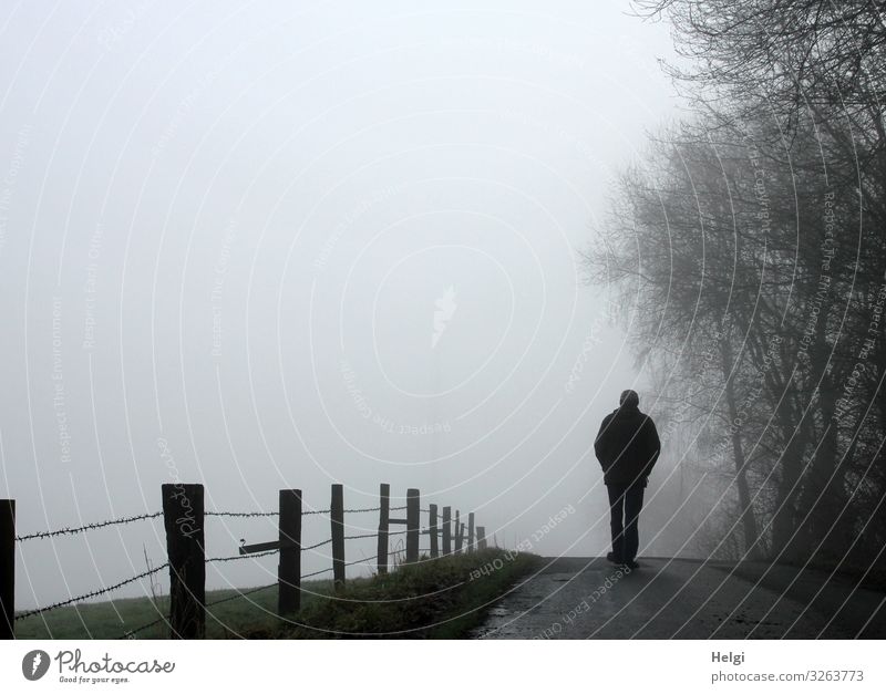 Rear view of a male person on a country road in the fog Human being Masculine Man Adults Male senior Senior citizen 1 60 years and older Environment Nature