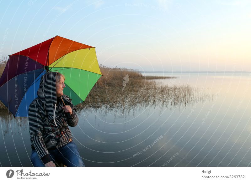 Woman sitting with a colorful umbrella in the evening sun at the lake Human being Feminine Adults Senior citizen 1 45 - 60 years Environment Nature Landscape