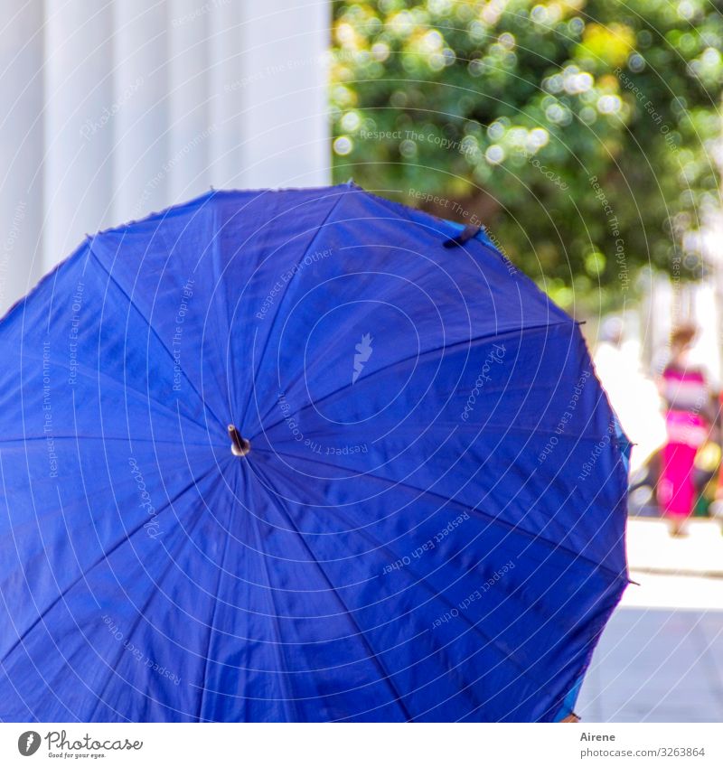in sunshine Beautiful weather Sunshade Umbrellas & Shades Esthetic Cold Positive Round Dry Warmth Blue Warm-heartedness Help Climate Protection Useful Shielded