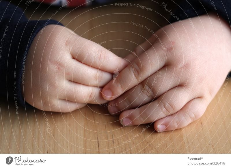 shy Human being Child Toddler Boy (child) Hand Fingers 1 1 - 3 years Touch To hold on Fresh Small Contentment Relaxation Infancy Shame Innocent fingernails Hide
