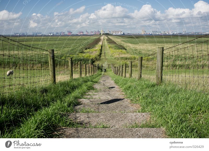 At the dike Environment Nature Landscape Sky Summer Beautiful weather Meadow Coast North Sea Ocean Stairs Lanes & trails Navigation Container ship Harbour