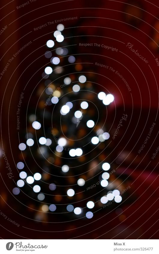Christmas blur Feasts & Celebrations Christmas & Advent Illuminate Bright Christmas tree Christmas decoration Fairy lights Fir tree Colour photo Pattern