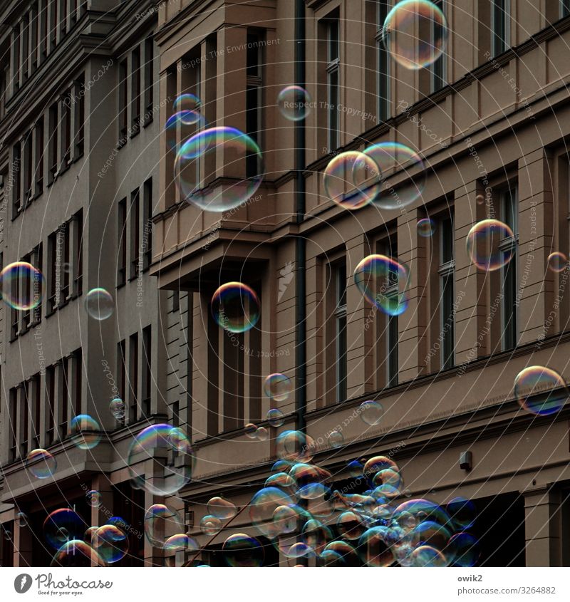 house cleaning Town Populated Wall (barrier) Wall (building) Facade Window Soap bubble Movement Fantastic Happiness Together Gigantic Glittering Round Many