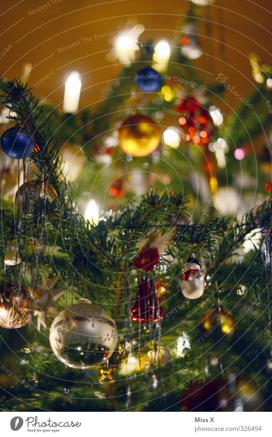 christmas decoration Christmas & Advent Illuminate Glittering Multicoloured Christmas tree Christmas decoration Christmas fairy lights Candle Candlelight