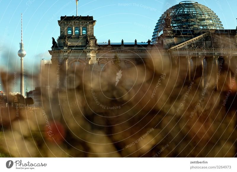 Television Tower and Bundestag Architecture Berlin Reichstag Germany Capital city Federal Chancellery Parliament Government Seat of government Government Palace