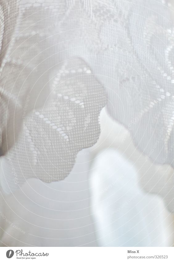 frills Decoration Wedding Cloth White Purity Frills Frill robe Drape Lace Vail Lace veil Colour photo Close-up Detail Pattern Structures and shapes Deserted
