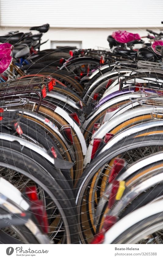 Streetlife 6 Bicycle Bicycle rack Means of transport Cycling Parking lot Exterior shot downtown