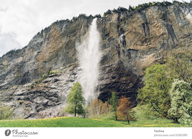 waterfall Environment Nature Landscape Plant Animal Climate Beautiful weather Meadow Forest Alps Mountain Waterfall Breathe Aggression Authentic Far-off places