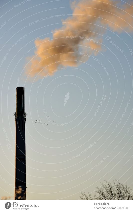 bad air Chimney Exhaust gas Vent Environmental pollution Air pollution Climate Smoke Industry Factory Energy industry Sky Steam Bird Tree