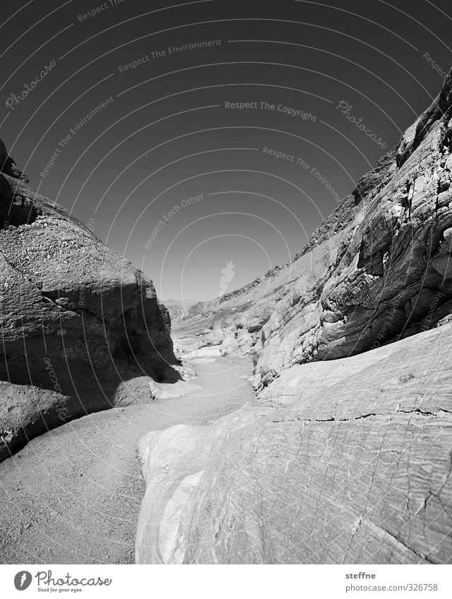 twists Rock Death valley Nationalpark USA Nevada Exceptional Wiggly line Black & white photo Exterior shot Structures and shapes Deserted