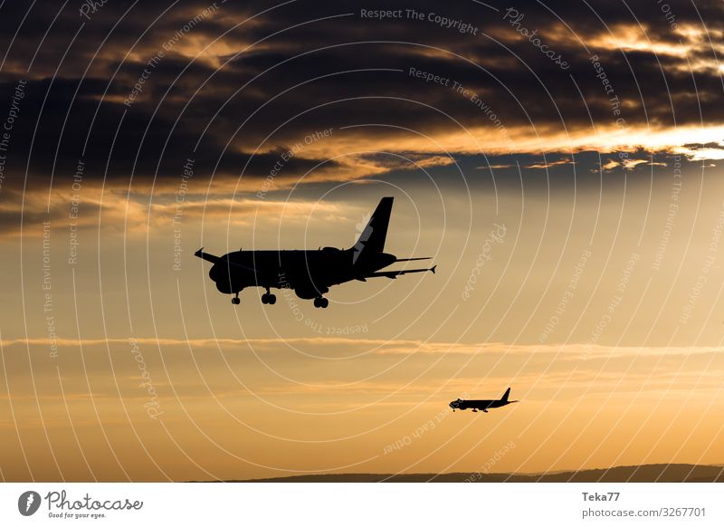#Evening planes Vacation & Travel Summer Airport Transport Aviation Airplane Passenger plane Yellow Esthetic Sunset Colour photo Exterior shot Light Shadow