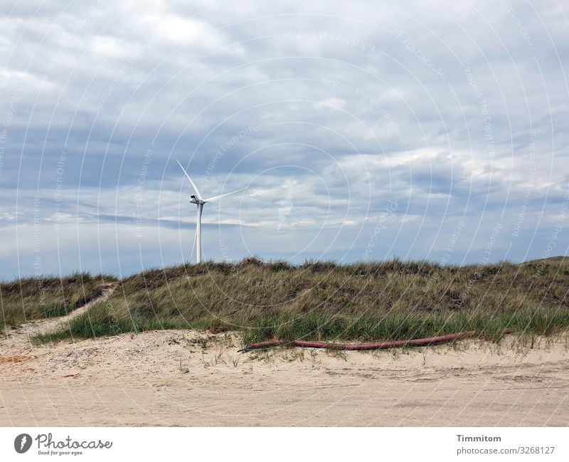 Waaaahhh...a snake? Sand Beach duene Marram grass conduit Transmission lines Pinwheel Sky Clouds Denmark Vacation & Travel North Sea Irritation Snake