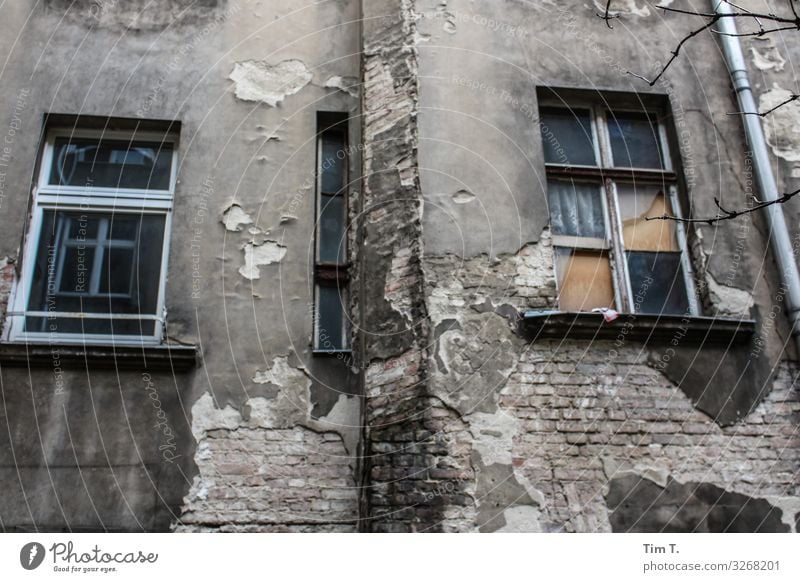 Backyard Berlin Prenzlauer Berg Town Capital city Downtown Old town Deserted House (Residential Structure) Wall (barrier) Wall (building) Facade Window