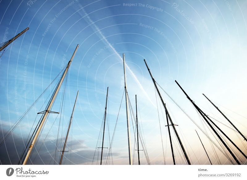 Evening in the harbour Sky Clouds Beautiful weather Navigation Sailboat Sailing ship Harbour Mast Rope Together Maritime Sympathy Patient Calm Life Esthetic