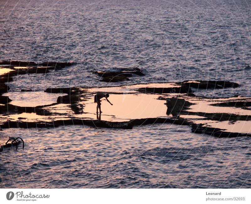 mirroring Ocean Waves Light Sunset Human being Water Rock reflection coast sea sun woman