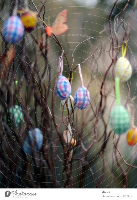 Easter Decoration Spring Bushes Hang Multicoloured Easter egg Branch Twigs and branches Embellish Colour photo Exterior shot Close-up Deserted
