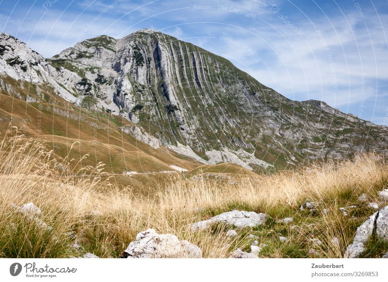 Mount Prutas, Durmitor National Park, Montenegro Vacation & Travel Trip Mountain Hiking Sky Beautiful weather Grass Bushes Meadow durmitor Relaxation To enjoy