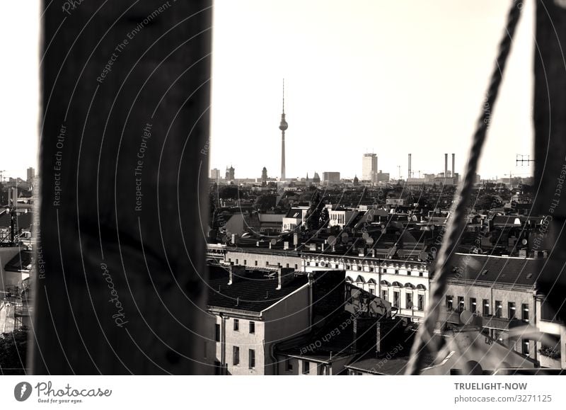 farsighted | over the roofs of Berlin 2 Tourism Far-off places Sightseeing City trip Berlin TV Tower Capital city Downtown Skyline House (Residential Structure)