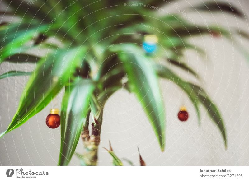Christmas palm Living or residing Flat (apartment) Christmas & Advent Esthetic Hip & trendy Uniqueness Christmas tree Palm tree Dragon tree Glitter Ball