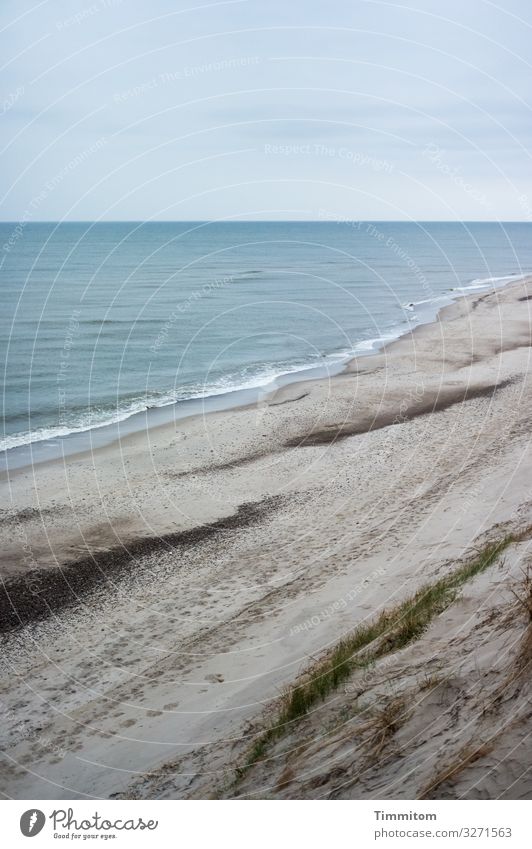 View down to the beach and the North Sea (1) duene Beach Sand Water Waves stones Horizon Blue Marram grass Denmark Vacation & Travel coast Deserted Sky Tracks