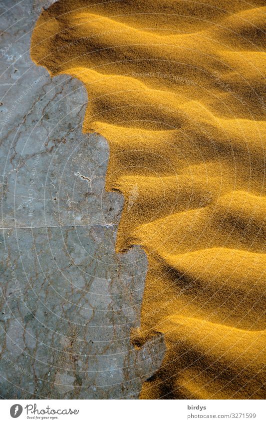 devastation Sand Climate change Drought Desert Stone Authentic Exceptional Exotic Hot Natural Dry Yellow Gray Movement Bizarre Nature Environment Transience