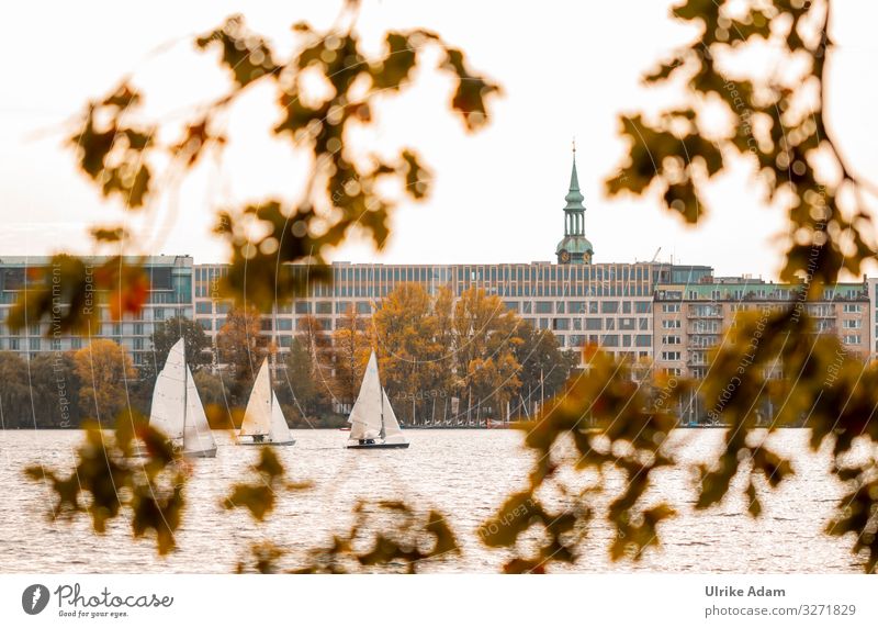 Sailboats on the Alstersee in Hamburg - UT Hamburg 2019 Lake Alster sailboats Branch Town Germany Hanseatic City warm Water Autumn Autumn leaves Church spire