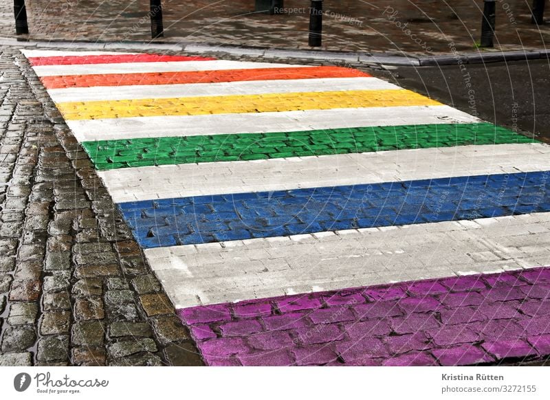 rainbow crossing Freedom Homosexual Transport Traffic infrastructure Pedestrian Street Zebra crossing Sign Town Multicoloured Acceptance Love Solidarity