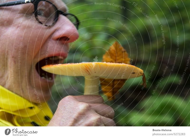 Tempting delicacies 5 Delicacies Nutrition vegetarian Mushroom Organic produce Vegetarian diet Colour photo Eating Food photograph