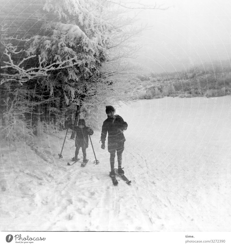 winter sports Sports Fitness Sports Training Winter sports Skis Ski run Masculine 2 Human being Snow Tree Mountain Harz Slope Pants Jacket Coat Cap Driving