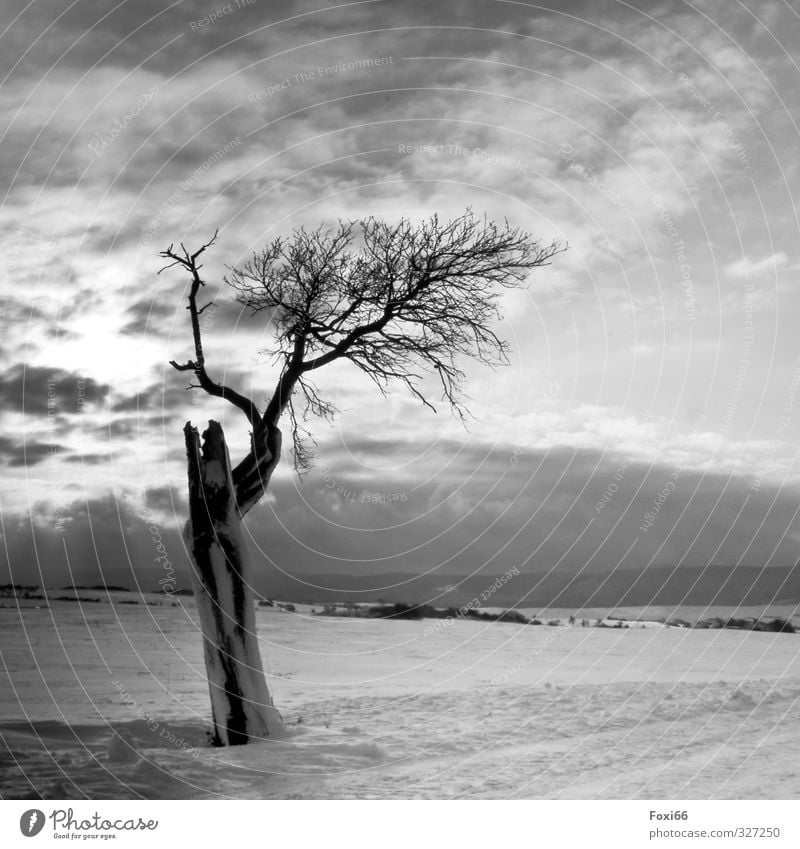 . Landscape Sky Clouds Winter Snow Tree Field Mountain Dark Cold Natural Gloomy Black White Moody Beautiful Calm Loneliness Relationship Uniqueness Emotions