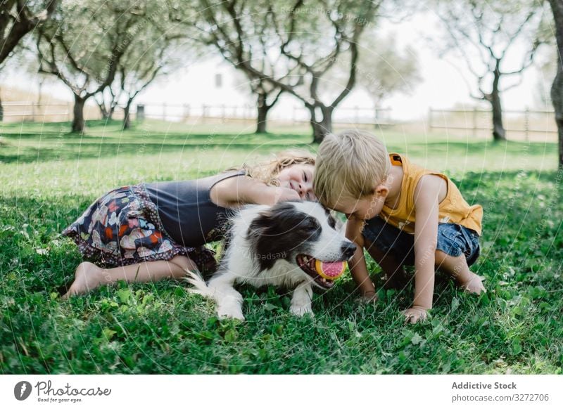 Lovely boy and girl hugging fluffy dog with ball in mouth on grass children garden friend pet cuddling summer friendship adorable together happy playing lovely