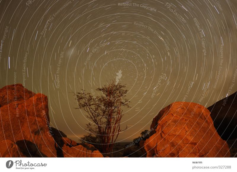 Circular path Starry sky Long-term exposure Environment Nature Landscape Earth Sky Cloudless sky Night sky Stars Tree Mountain Stone Rotate Warmth Brown Orange