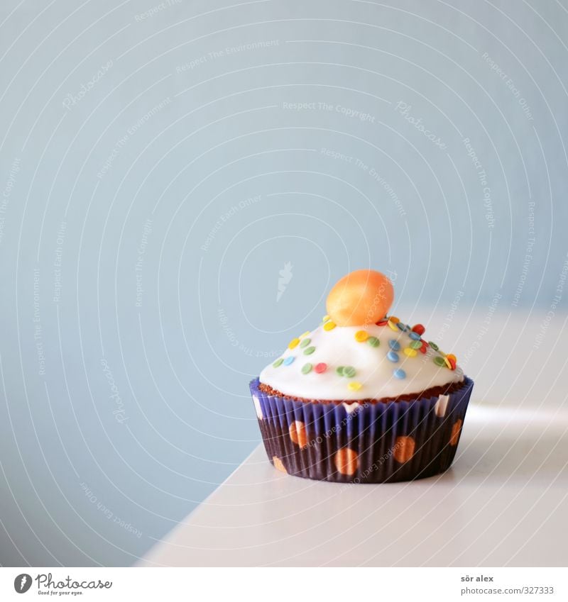 PARTY ALARM Food Cake Dessert Candy Nutrition Eating To have a coffee Muffin Delicious Sweet Blue Tartlet Cavities Childrens birthsday Colour photo
