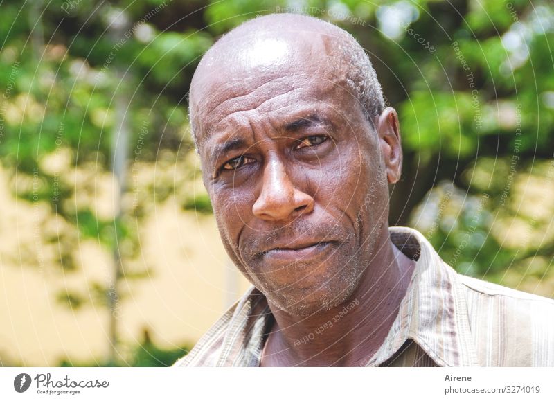 Cuban man Masculine Man Adults Senior citizen Head 1 Human being 30 - 45 years 45 - 60 years Caribbean Central American Friendliness Brown Green Serene Wisdom