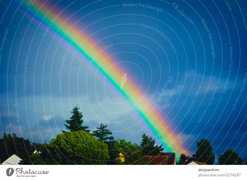 Rainbow over the houses. The colorful multicolored ray points into the blue sky. Joy Senses Summer Environment Cloudless sky Beautiful weather Foliage plant