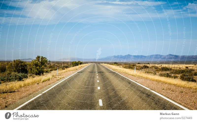 Straight road Landscape Sky Horizon Summer Beautiful weather Transport Traffic infrastructure Street Driving Blue Brown Gray Orange Adventure Freedom Wanderlust