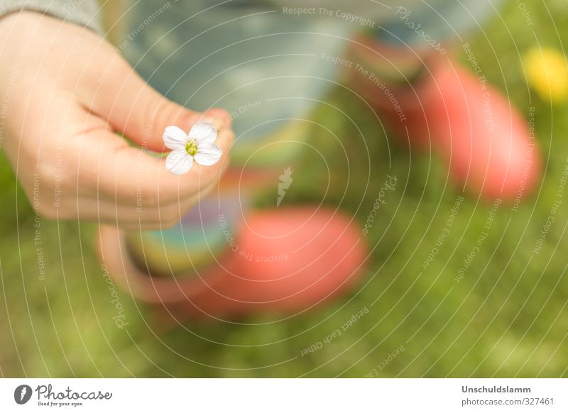 flowery little.... Mother's Day Birthday Hand 1 Human being Spring Summer Flower Grass Meadow Rubber boots To hold on Communicate Beautiful Small Cute