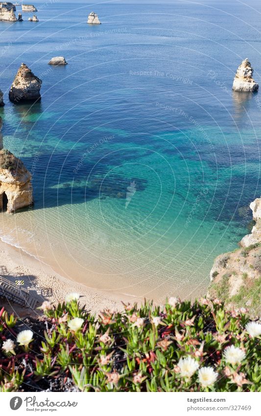 PRAIA DO CAMILO Portugal Algarve Lagos Praia do Camilo praia rock salt Vacation & Travel Travel photography Idyll Card Tourism Paradise Heavenly Paradisical